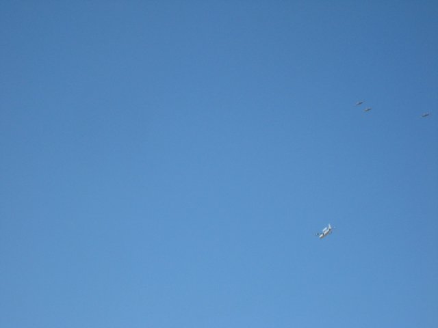 IMG_3208.jpg