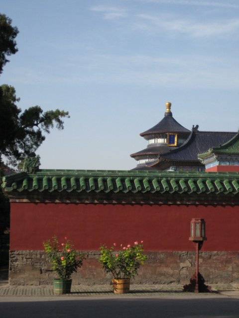 IMG_3227.jpg