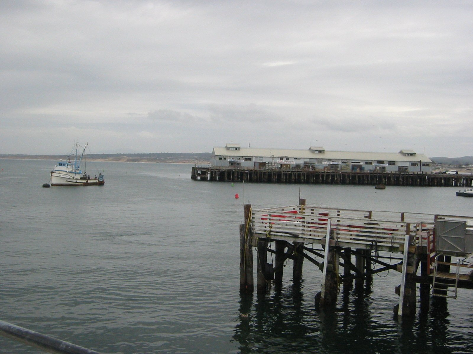 IMG_4483.jpg