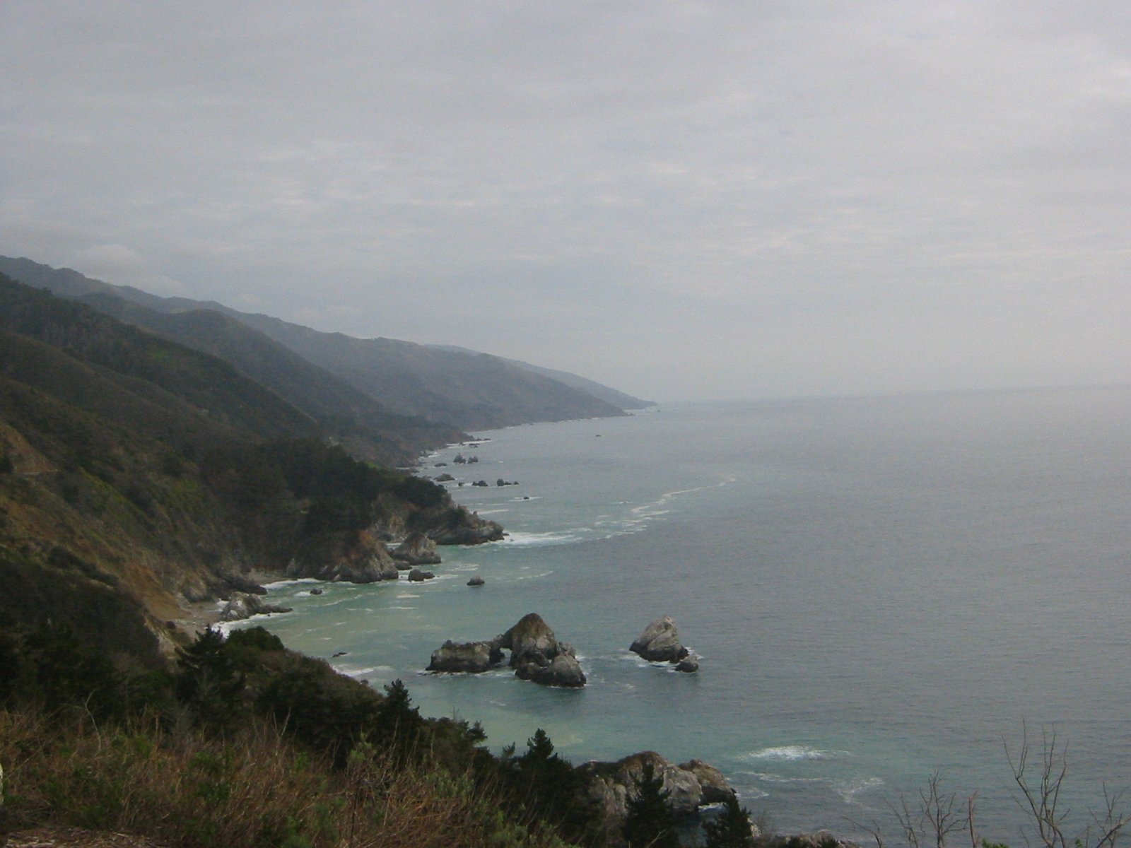IMG_4494.jpg