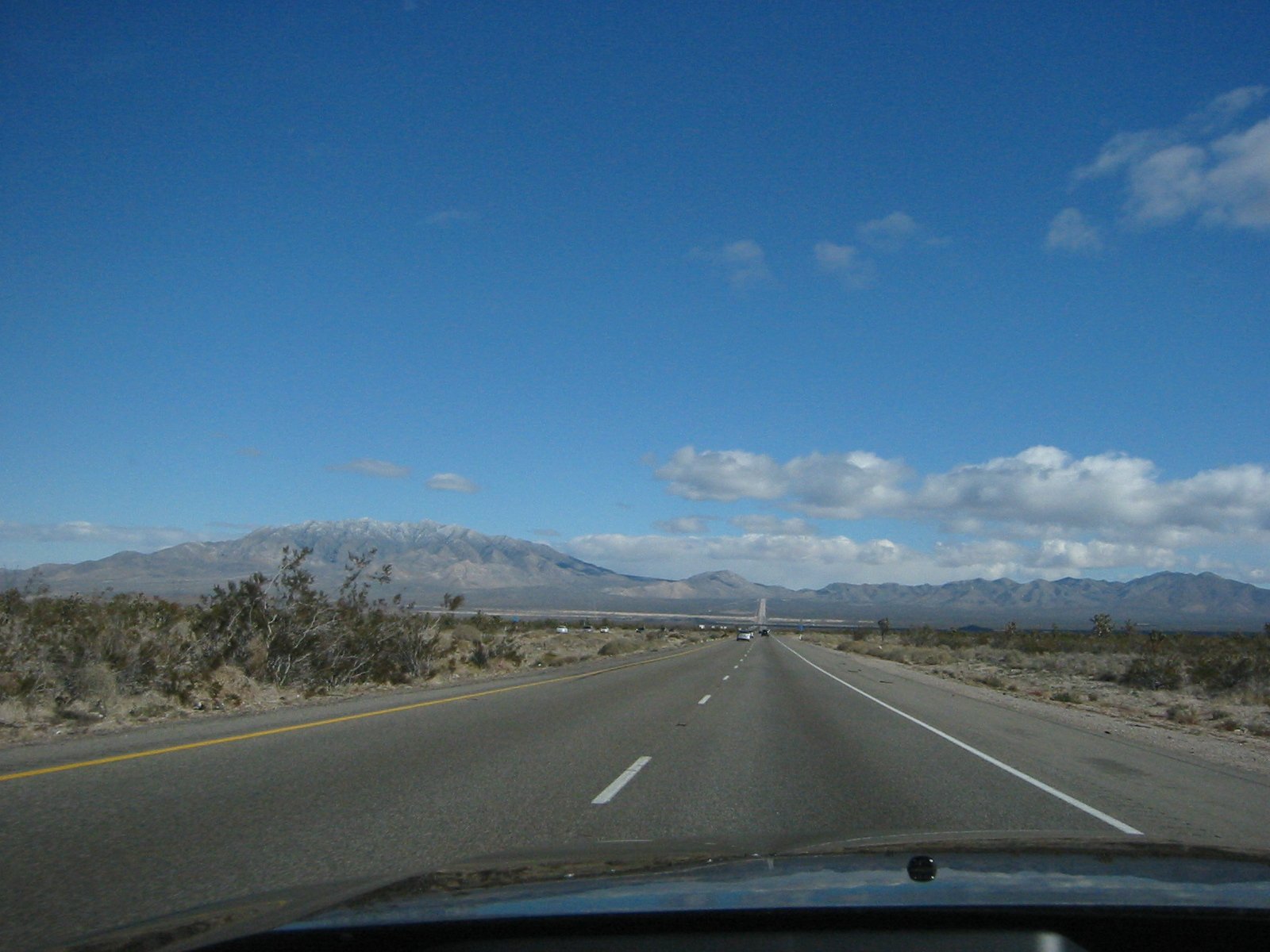 IMG_4599.jpg