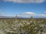 IMG_4559.jpg