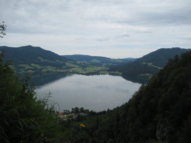 IMG_2583.jpg