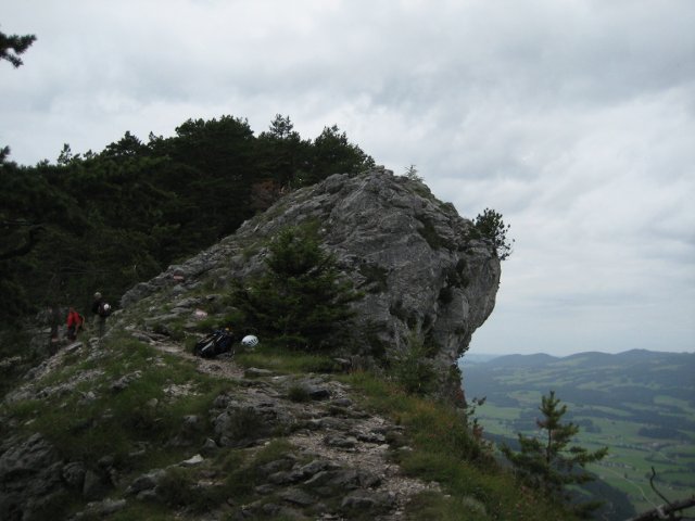 IMG_2600.jpg