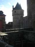 IMG_6024.jpg
