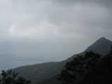 IMG_3572.jpg