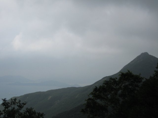 IMG_3572.jpg