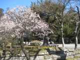 IMG_8759.jpg