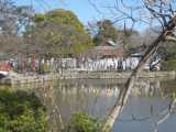 IMG_8786.jpg