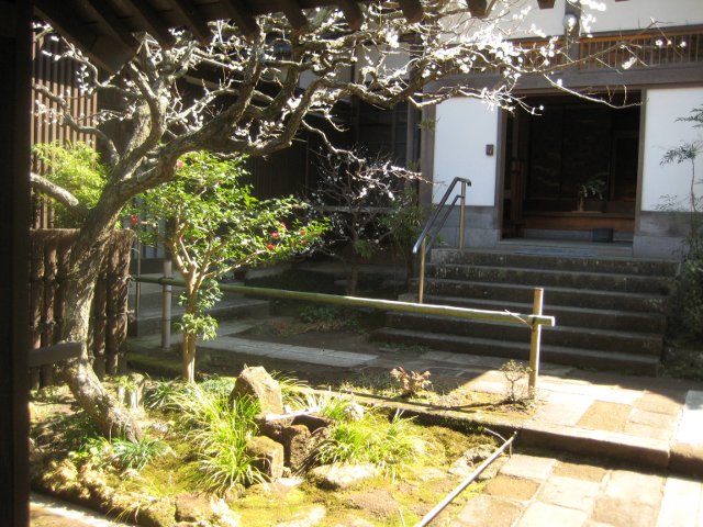 IMG_8768.jpg