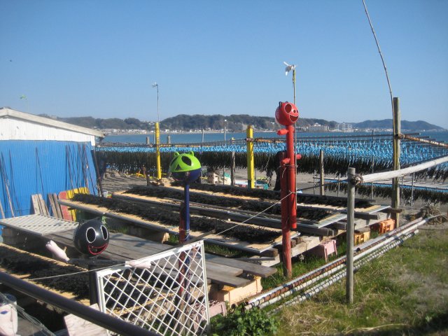 IMG_8797.jpg
