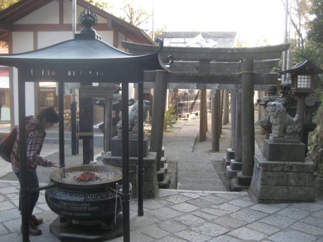 IMG_8808.jpg