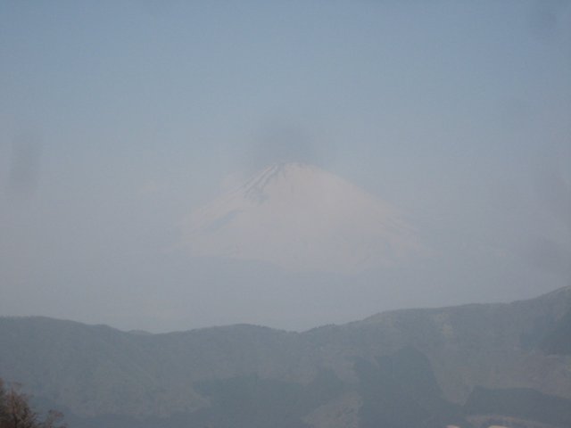 IMG_8870.jpg