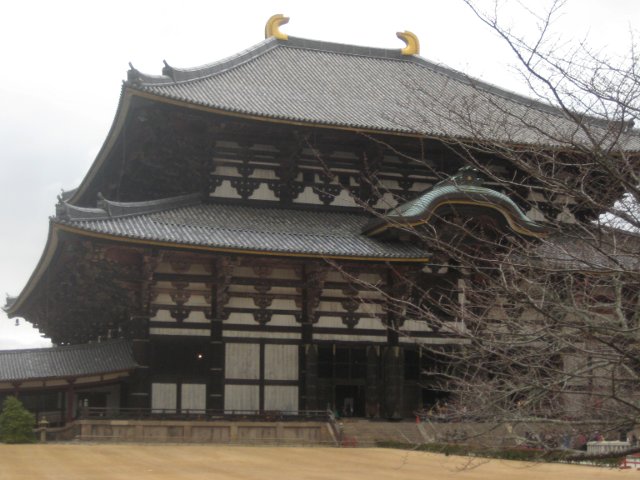 IMG_8972.jpg