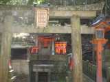 IMG_9076.jpg