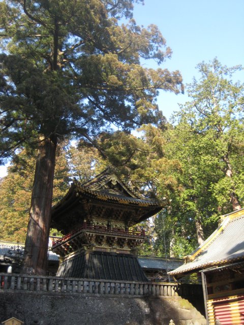 IMG_9203.jpg