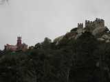 IMG_4183.jpg