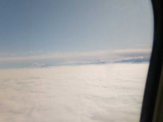IMG_20191116_090608.jpg