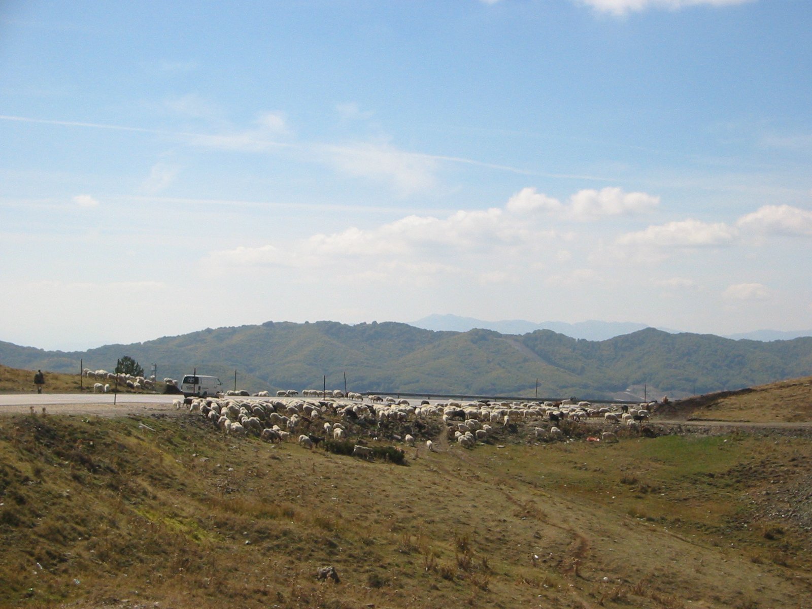 IMG_4192.jpg