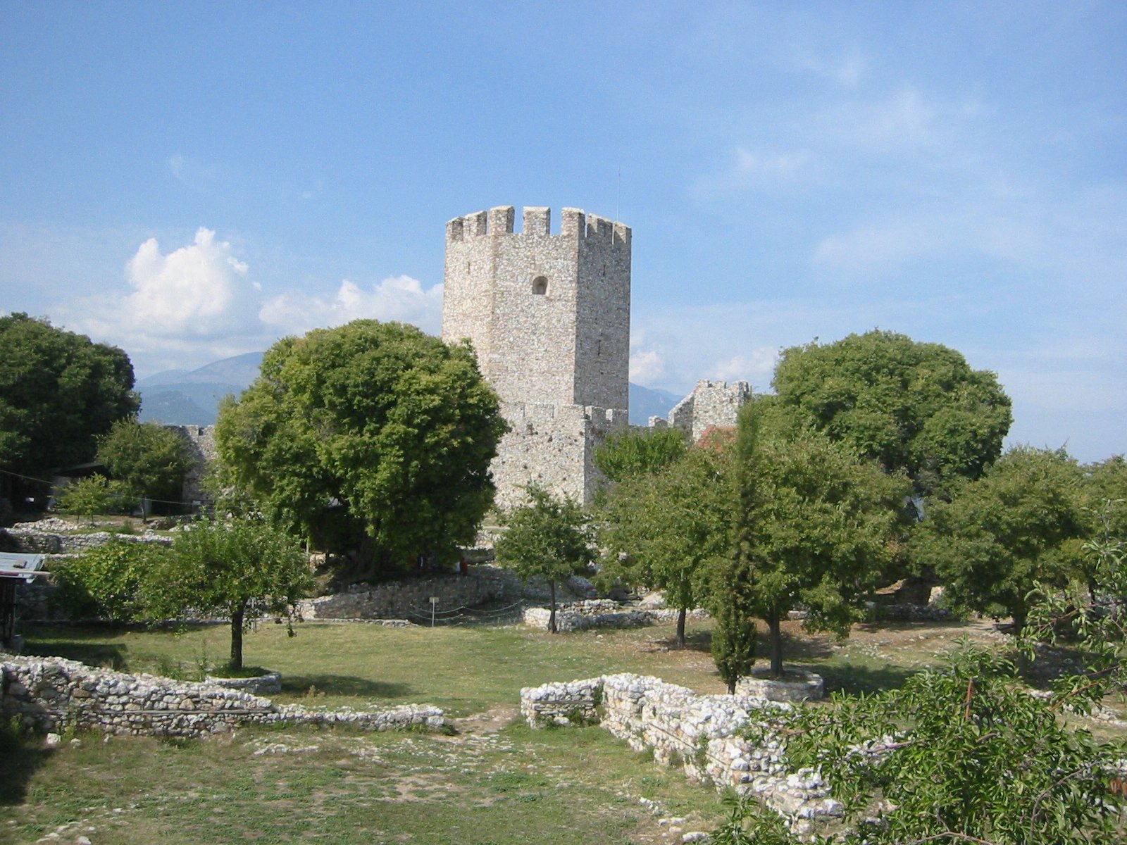 IMG_4221.jpg