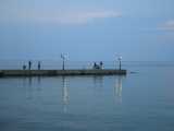 IMG_4236.jpg