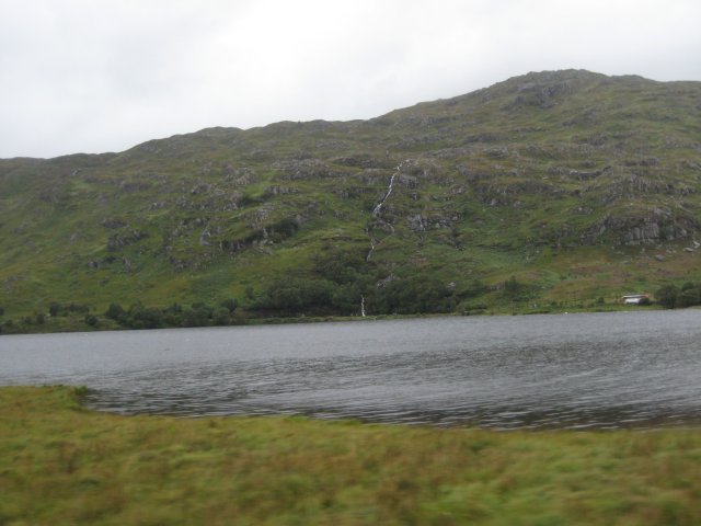 IMG_2937.jpg