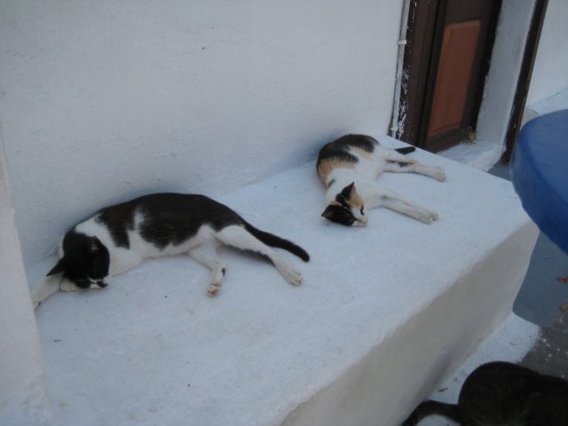 IMG_2534.jpg