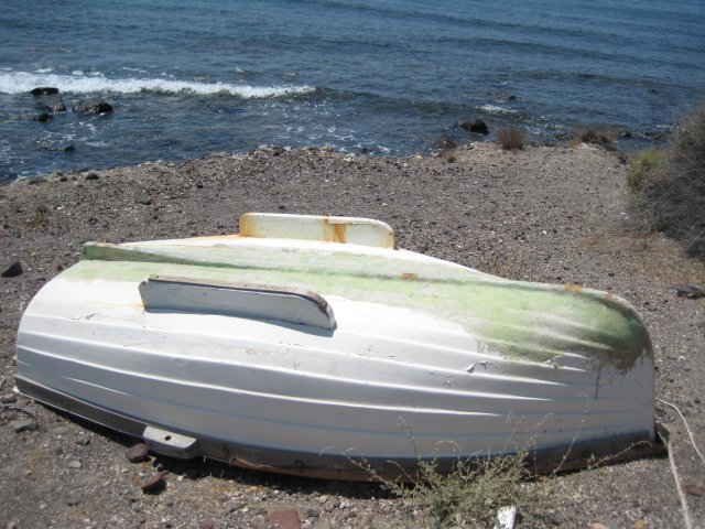 IMG_2569.jpg