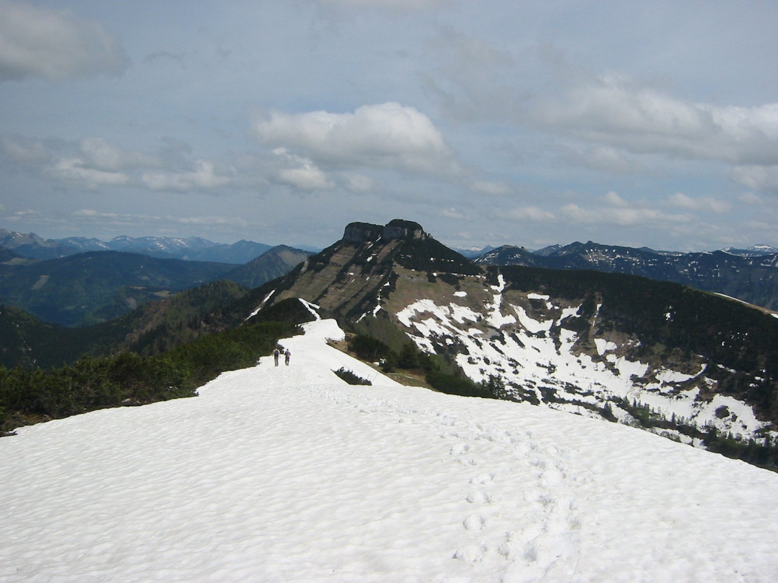 IMG_2500.jpg