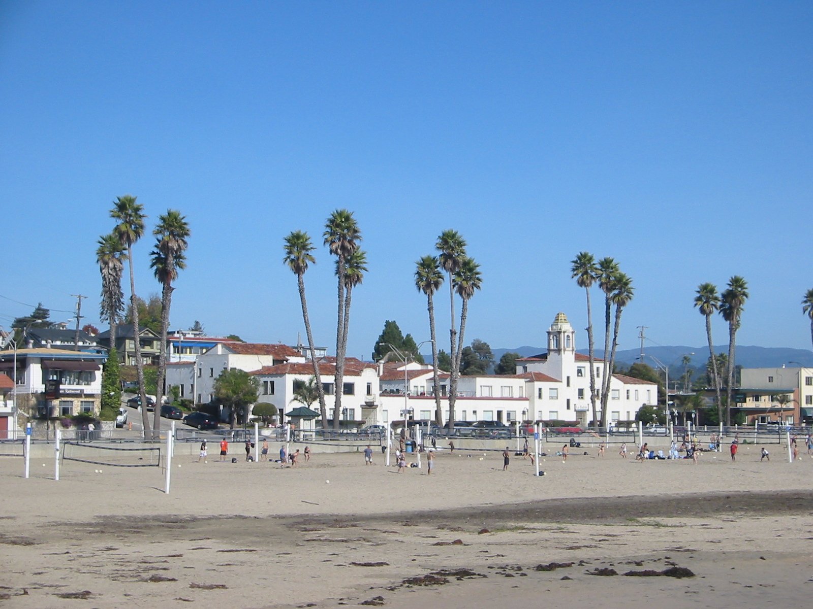 IMG_3469.jpg