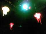 Image0023.jpg