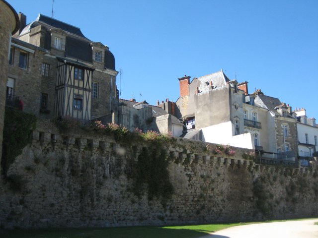 IMG_6325.jpg