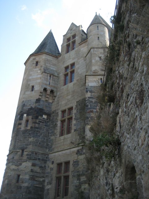 IMG_5495.jpg