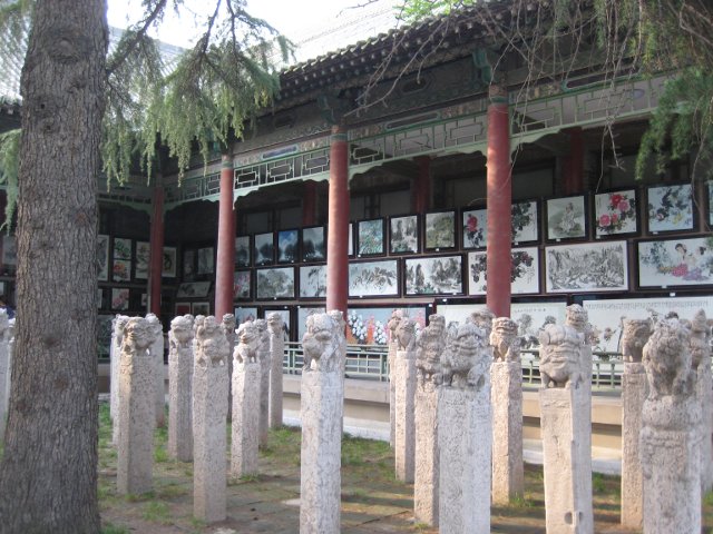 IMG_3457.jpg